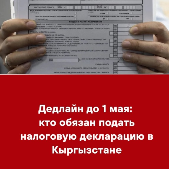 Дедлайн до 1 мая: кто обязан подать налоговую декларацию в Кыргызстане