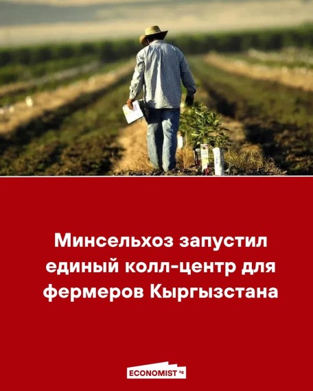 Минсельхоз запустил единый колл-центр для фермеров Кыргызстана