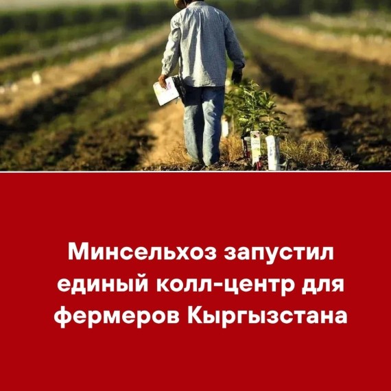 Минсельхоз запустил единый колл-центр для фермеров Кыргызстана