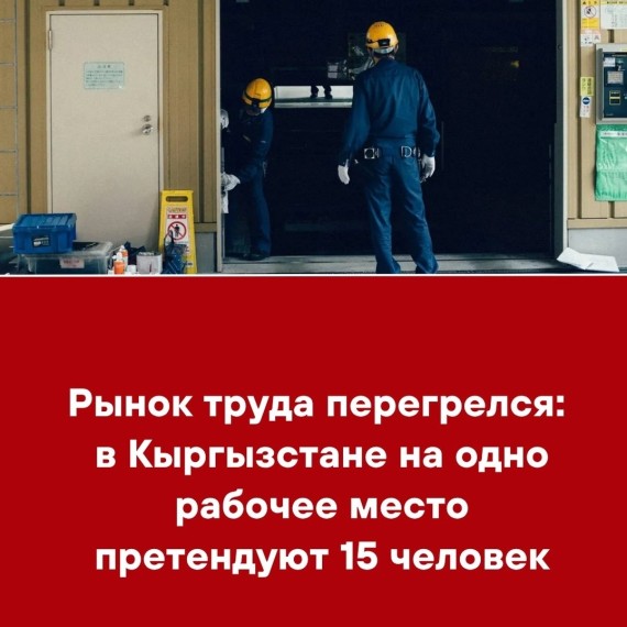 Рынок труда перегрелся: в Кыргызстане на одно рабочее место претендует 15 человек