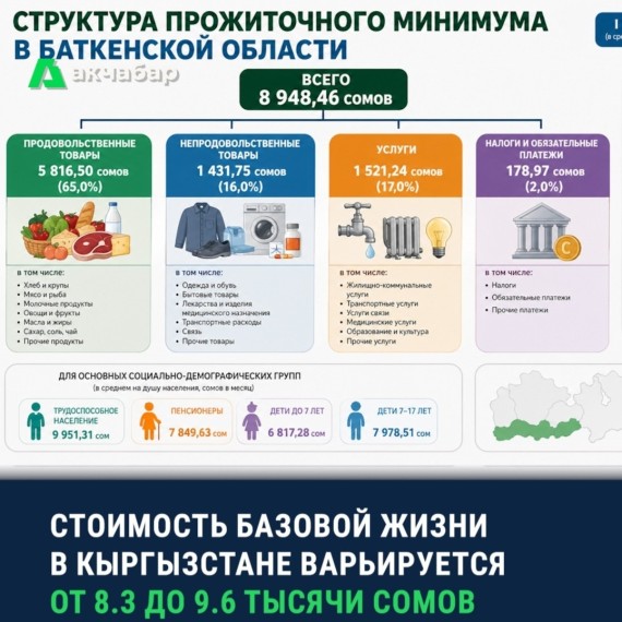 Стоимость базовой жизни в Кыргызстане варьируется от 8.3 до 9.6 тысячи сомов