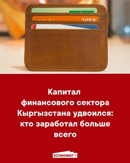 Капитал финансового сектора Кыргызстана удвоился: кто заработал больше всего