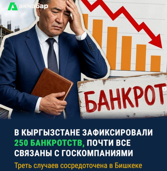 В Кыргызстане зафиксировали 250 банкротств, почти все связаны с госкомпаниями