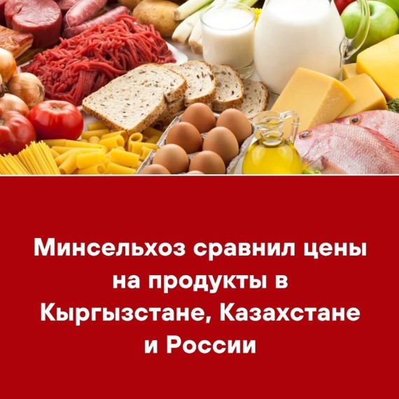 Минсельхоз сравнил цены на продукты в Кыргызстане, Казахстане и России
