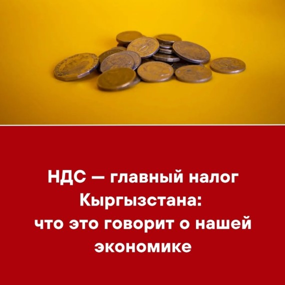 НДС - главный налог в Кыргызстане: что это говорит о нашей экономике?
