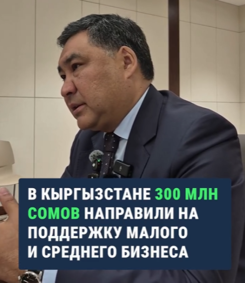 В Кыргызстане 300 млн сомов направили на поддержку малого и среднего бизнеса