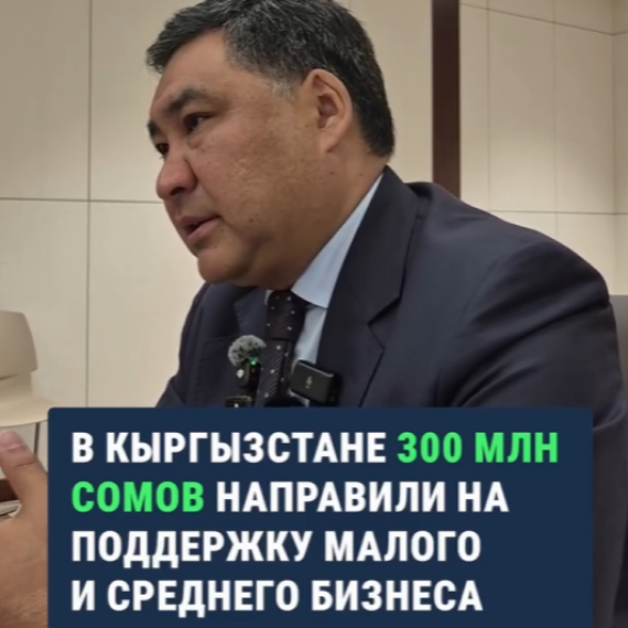 В Кыргызстане 300 млн сомов направили на поддержку малого и среднего бизнеса