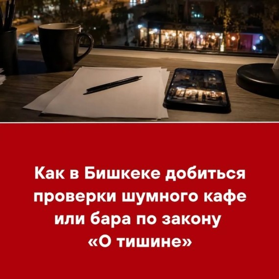 Как в Бишкеке добиться проверки шумного кафе или бара по закону «О тишине»