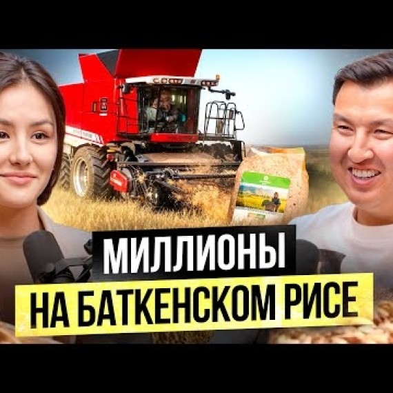 Баткенский рис лучше Ташкентского? — Сколько приносит производство риса в Баткене?