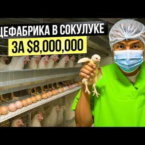 Халал Курица Made in Kyrgyzstan: Уникальная Птицефабрика в Сокулуке