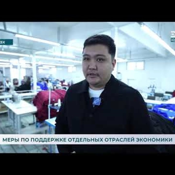 Меры по поддержке отдельных отраслей экономики 