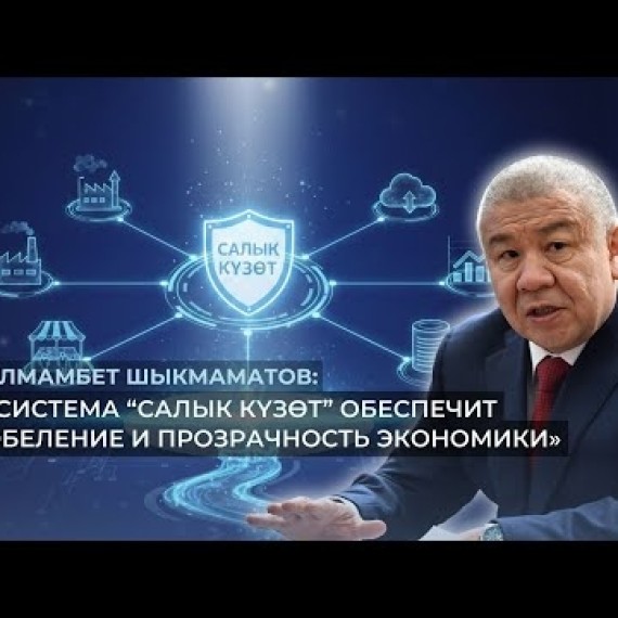 Алмамбет Шыкмаматов: «Система “Салык Күзөт” обеспечит обеление и прозрачность экономики»