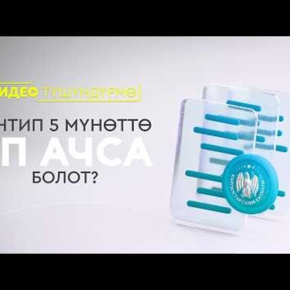 Кантип 5 мүнөттө ИП ачса болот?